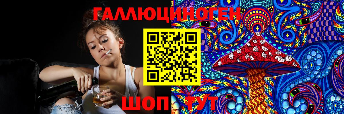 Галлюциногенные грибы Psilocybine cubensis Нефтекумск